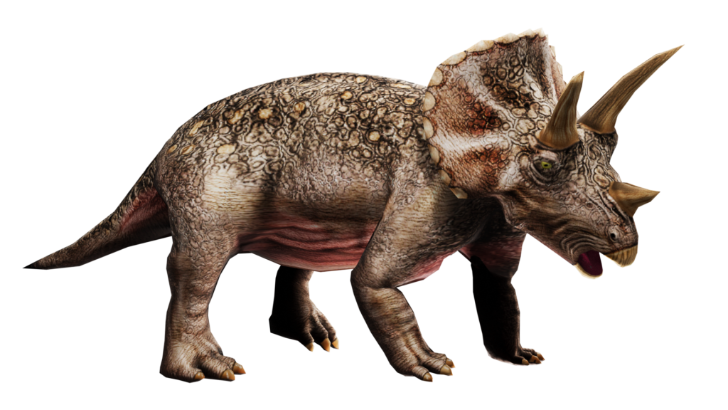 Triceratops Blog